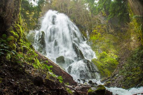 These 3 Oregon Waterfall Hikes Are Short Enough That You Can Do Them All In One Afternoon