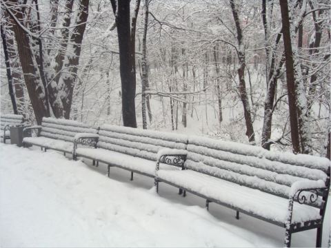 In 1979, Illinois Plunged Into An Arctic Freeze That Makes This Year's Winter Look Downright Mild