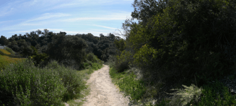 The Incredible Canyon Hiding In Southern California That Is Truly Breathtaking At Every Turn