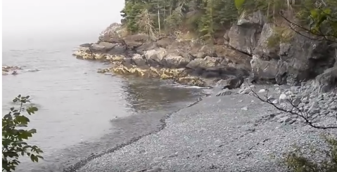 This Secret Trail In Maine Will Bring You Near The Remains Of A Bygone Mansion