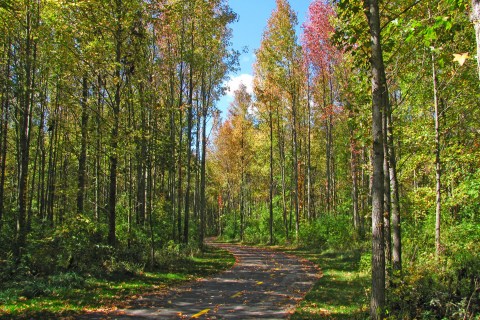 This Just Might Be The Most Beautiful Hike In All Of Columbus