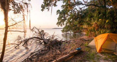 Sleep Steps From The Beach At Cumberland Island National Seashore