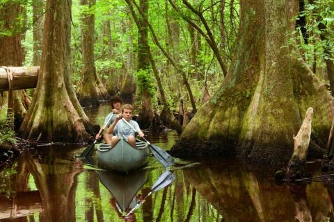 The South Carolina Park That Will Make You Feel Like You Walked Into A Fairy Tale