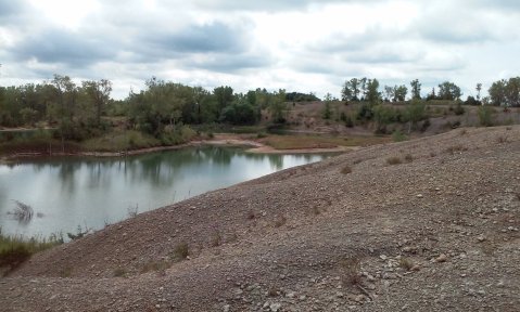 The Epic Park In Iowa Where You Can Take Home 365-Million-Year-Old Fossils