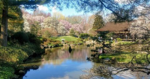 This Underrated Japanese Garden Just Might Be The Most Beautiful Place In Philadelphia