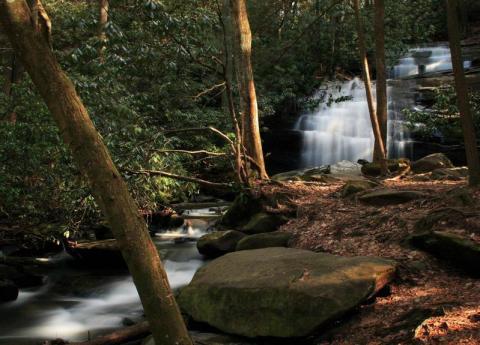 This Quaint Little Trail Is The Shortest And Sweetest Hike In Georgia