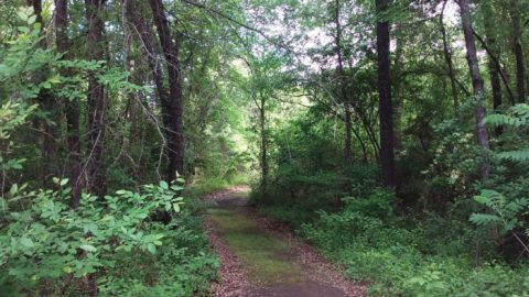 This Hidden Trail In Oklahoma Leads To A Magnificent Archaeological Treasure