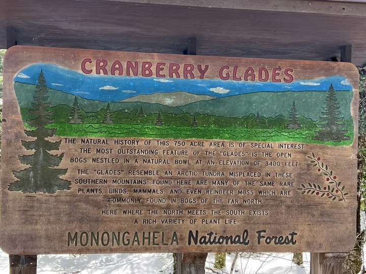 best time to visit cranberry glades