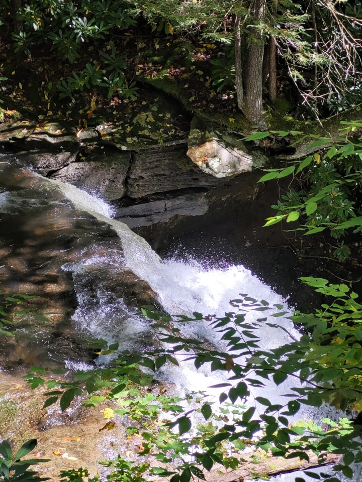 best time to visit cranberry glades