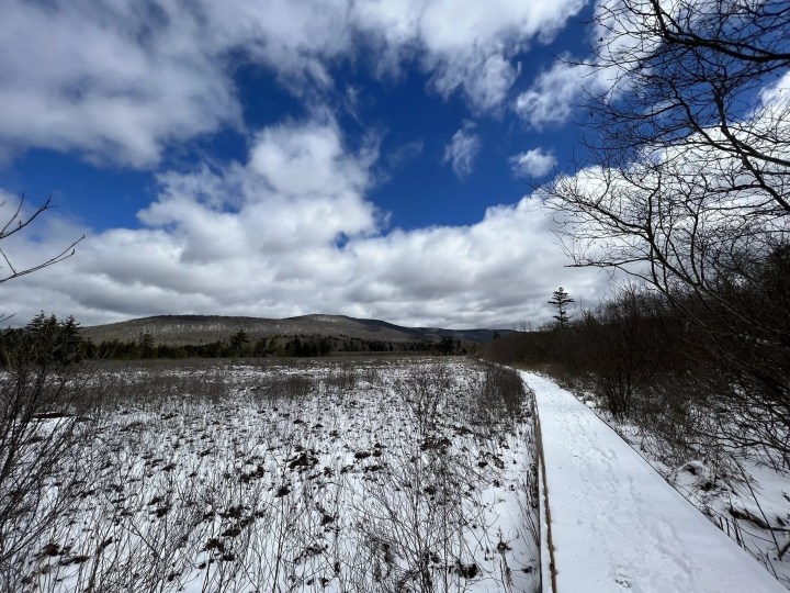 best time to visit cranberry glades