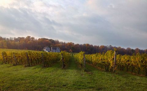 The 7 Most Beautiful Wineries Around Buffalo