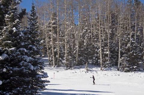 There’s A Truly Enchanted Forest In New Mexico And It’s Perfect For A Winter Hike