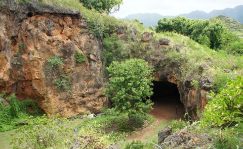 Few People Know About This Fossil Cave Hiding Right Here In Hawaii