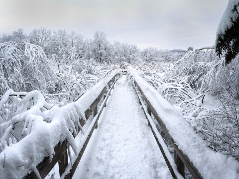 9 Simple Winter Hikes In Vermont That Will Cure Your Cabin Fever