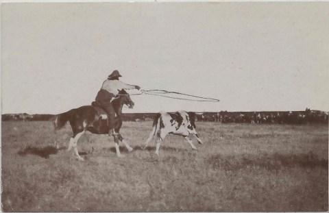 These 11 Vintage Photos Of New Mexico From The Early 1900s Are Beyond Fascinating