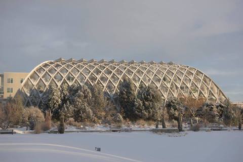 The One Place In Denver Where It Feels Like Summer All Year Long