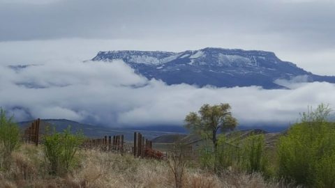 This One-Of-A-Kind Colorado Winery Is Located In The Most Unforgettable Setting