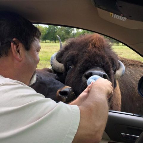 The One Incredible Place In Louisiana To See Wildlife Up Close