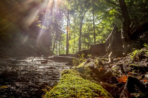 5 Little Known Canyons That Will Show You A Side Of Indiana You’ve Never Seen Before