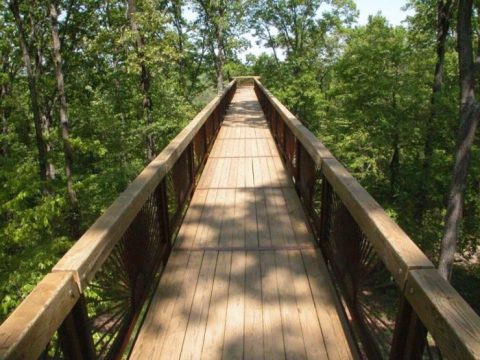 The One Walk Above The Trees In Kentucky That's Beautiful Any Time Of Year