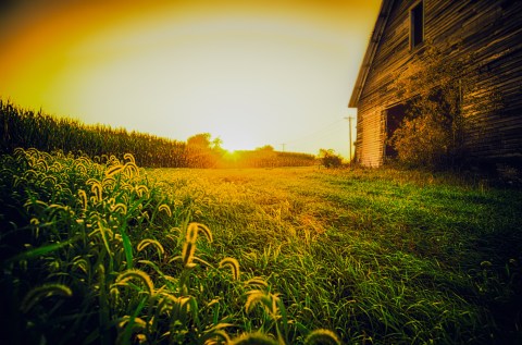 13 Swelteringly Hot Photos Of Nebraska That Will Have You Dreaming Of Summer