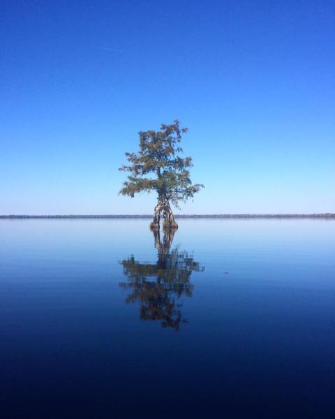 This Stunning Natural Area In Virginia Has A Mythical Beauty