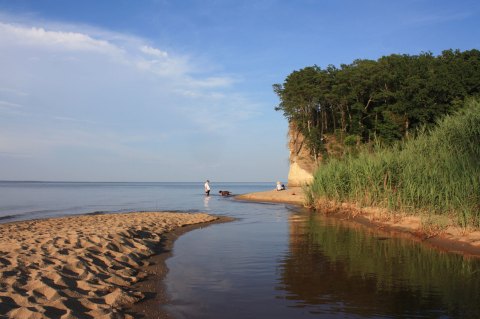 The Epic Park In Virginia Where You Can Take Home 5-Million-Year-Old Fossils For Free