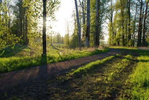 This Wildlife Refuge Near Portland Has Over 200 Amazing Species of Birds