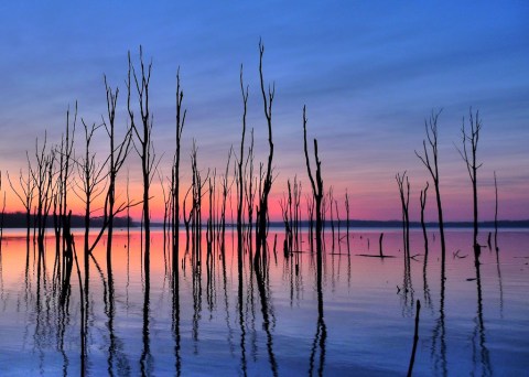 The Most Breathtaking Natural Area In New Jersey You’ve Never Heard Of