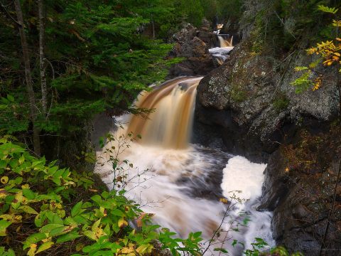 The One Hike In Minnesota That Makes You Feel Like You've Landed In A Jungle