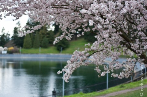 This Quaint Little Trail Is The Shortest And Sweetest Hike In Portland