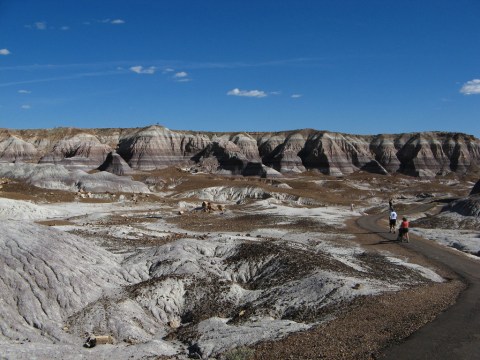 You’ll Absolutely Love This Easy, Scenic Trail In Arizona that Nearly Anyone Can Do