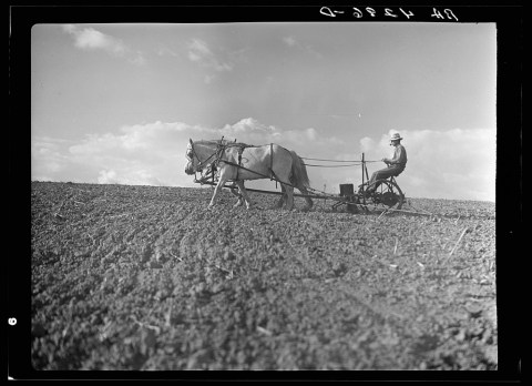 These 10 Photos Of Nebraska From The Early 1900s Are Beyond Fascinating