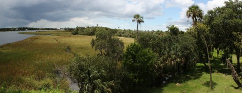 This Hidden Trail In Florida Leads To A Magnificent Archaeological Treasure