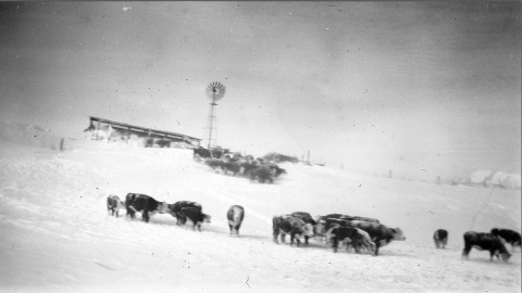 No Nebraskan Will Ever Forget The One Winter That Never Seemed To End