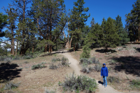 The Easy Breezy Hike In Southern California That Everyone Should Experience At Least Once