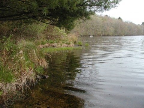 This Quaint Little Trail Is The Shortest And Sweetest Hike In Rhode Island