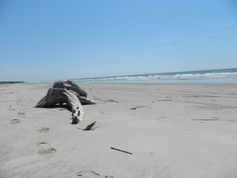 The Amazing South Carolina Beach You Can Only Get To By Boat