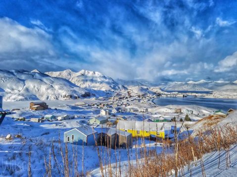 This Amazing Garden In A Shipping Container Would Only Happen In Alaska