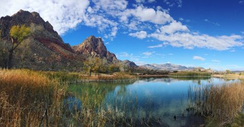 This Quaint Little Trail Is The Shortest And Sweetest Hike In Nevada