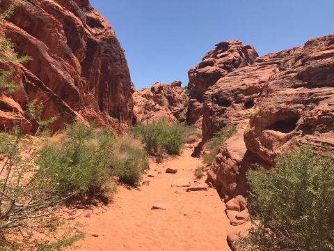 This Hidden Trail In Nevada Leads To A Magnificent Archaeological Treasure