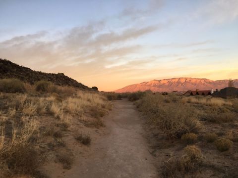 The Hidden Trail In New Mexico Leads To A Magnificent Archaeological Treasure