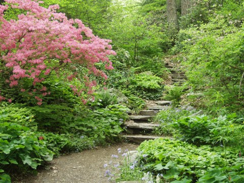 The Park Near Boston That Will Make You Feel Like You Walked Into A Fairy Tale