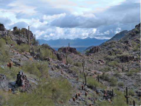 This Easy Hike Proves That Arizona Is Home To Unrivaled Beauty