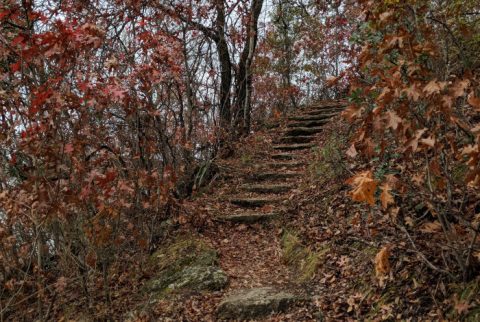 This Quaint Little Trail Is The Shortest And Sweetest Hike In Fort Worth