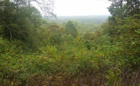 This Quaint Little Trail Is The Shortest And Sweetest Hike In Indiana