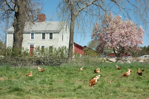 This Restaurant Way Out In The New Hampshire Countryside Has The Best Doggone Food You've Tried In Ages