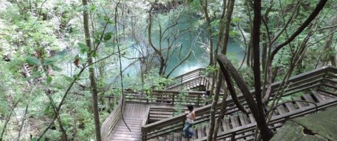 There's An Unexpected Geological Wonder Hiding Inside This Beautiful Florida Park