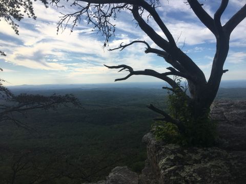 This Quaint Little Trail Is The Shortest And Sweetest Hike In Alabama