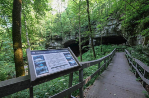 The One Alabama Cave That's Filled With Ancient Mysteries